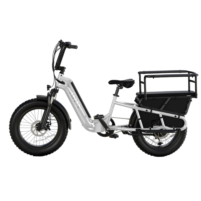 TST® Carrier 20'' Cargo Electric Bike