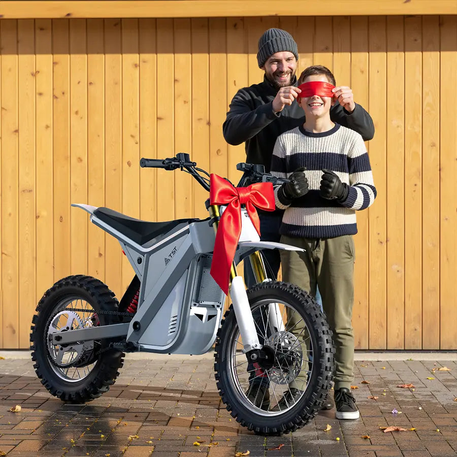 TST® GT73 17" 6000W 339Nm Electric Dirt Bike