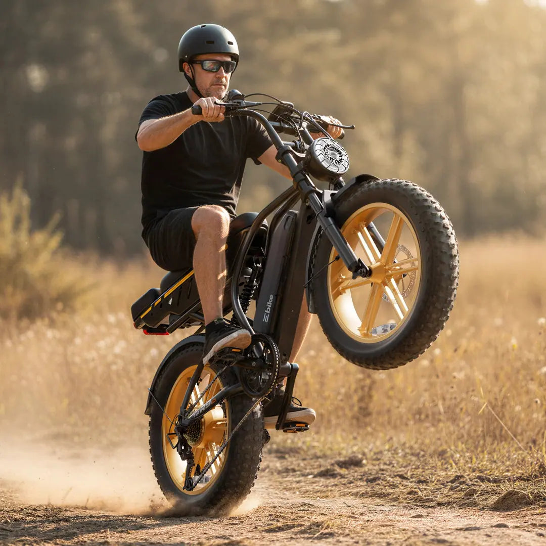 TST® R9 Dual-Battery 1500W Long-Range Full-Suspension Moped Style Electric Bike (2026 Model)