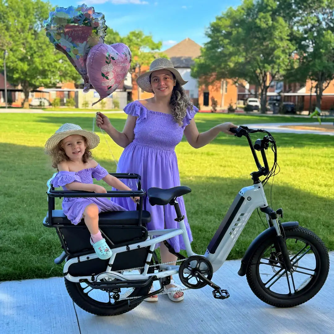 TST® Carrier 20'' Cargo Electric Bike