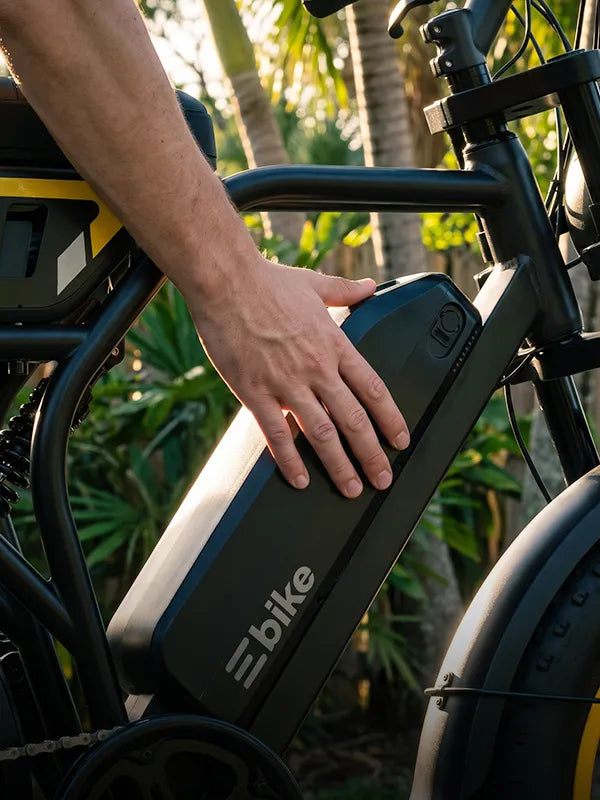 TST® R9  Long-Range  E-bike | max range 130 Miles