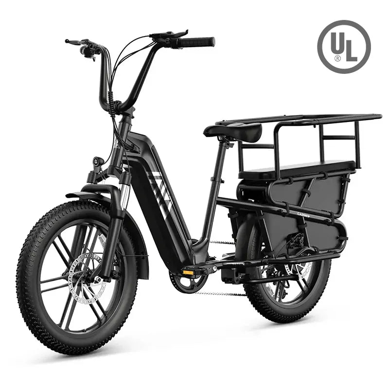 TST® Carrier 20'' Cargo Electric Bike