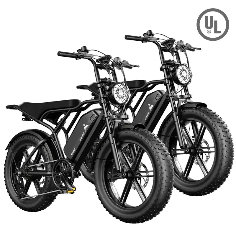 TST® Combo Sale R002 20" Full Suspension Moped-Style Ebike