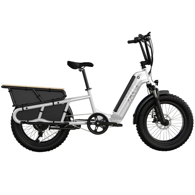 TST® Carrier 20'' Cargo Electric Bike