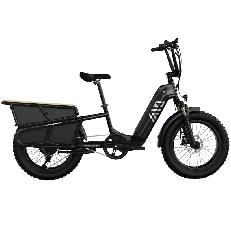 TST® Carrier 20'' Cargo Electric Bike