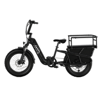 TST® Carrier 20'' Cargo Electric Bike