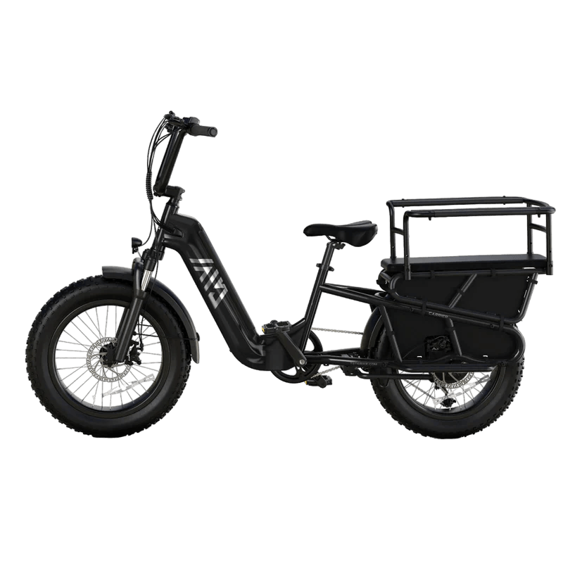 TST® Carrier 20'' Cargo Electric Bike