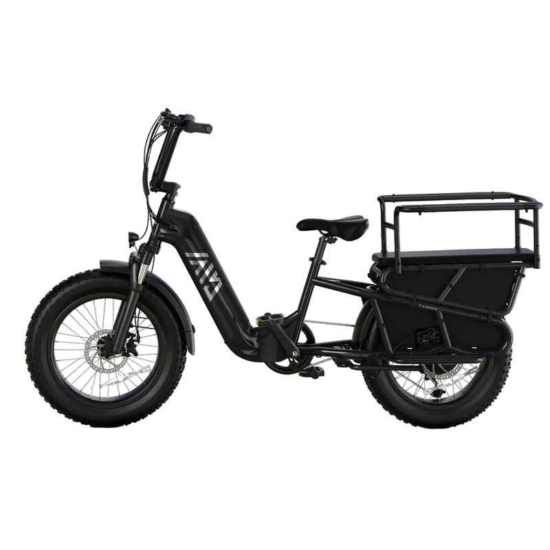 TST® Carrier 20'' Cargo Electric Bike