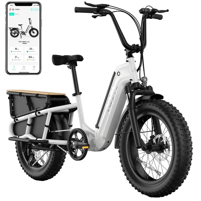 TST® Carrier 20'' Cargo Electric Bike