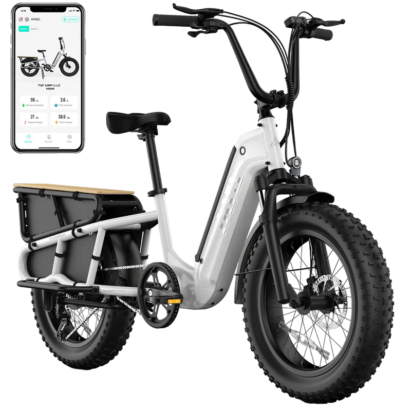 TST® Carrier 20'' Cargo Electric Bike