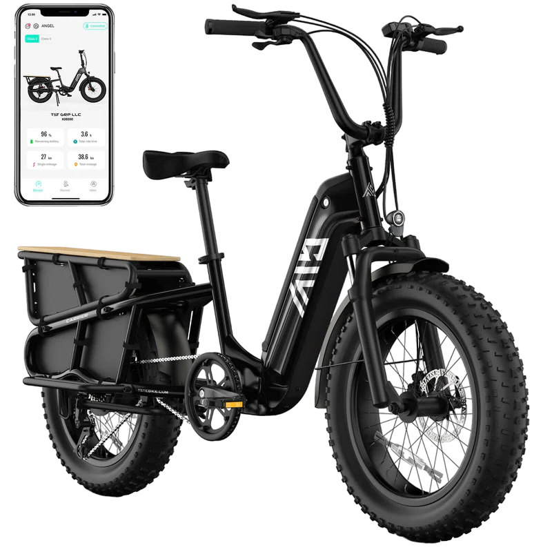 TST® Carrier 20'' Cargo Electric Bike