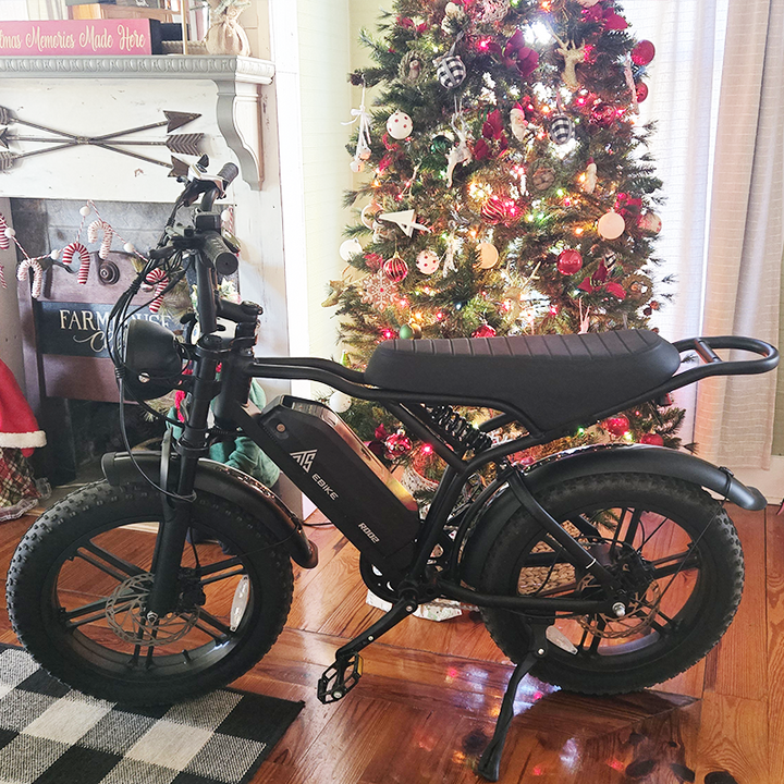 TST® R002 20'' 1500W Full Suspension Moped-style Electric Bike