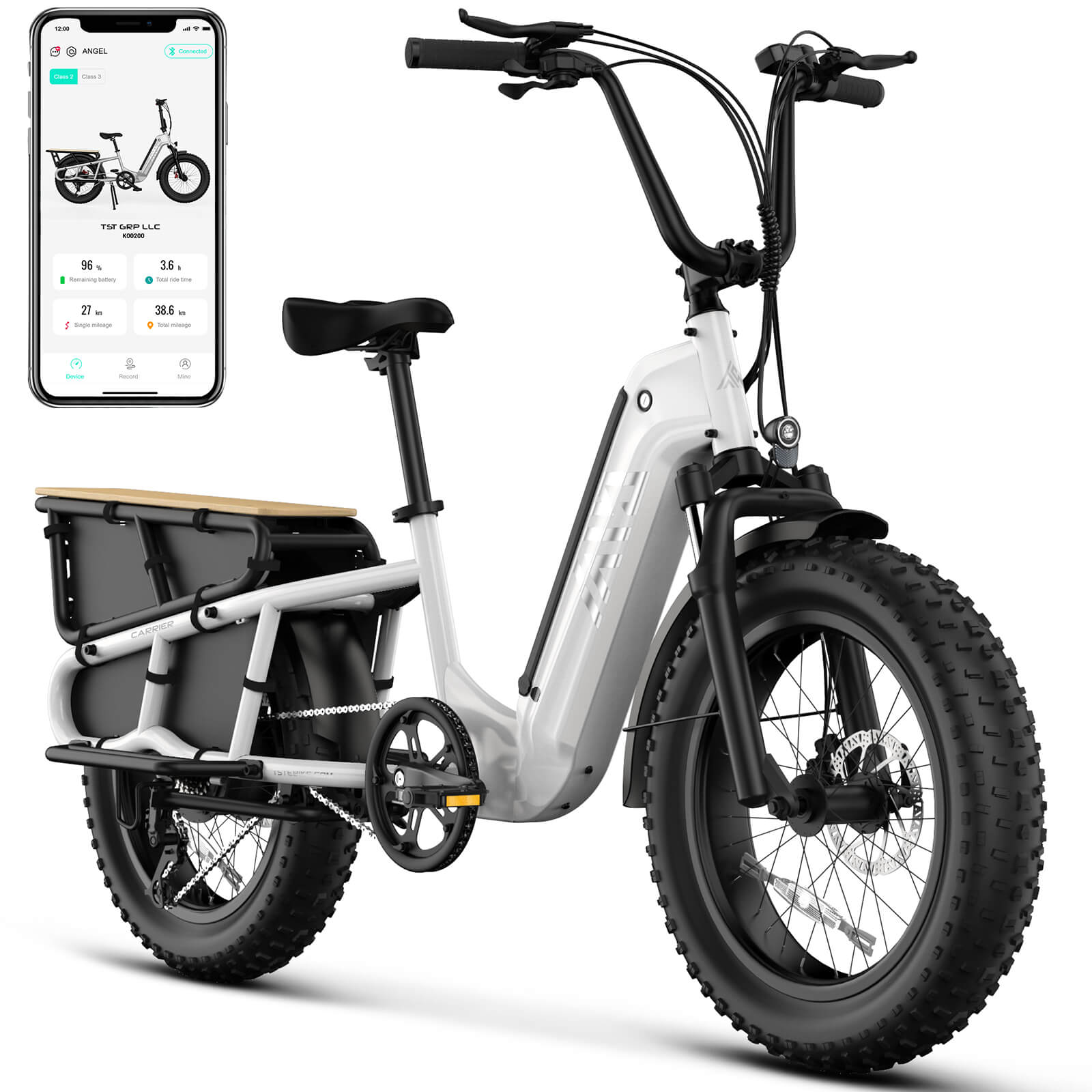 TST® Carrier 20'' Cargo Electric Bike